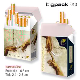 indo slipp 013 > Michelangelo Bigpack Normal-Size