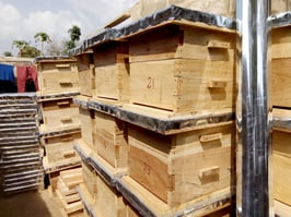 Spende eines Bienenstocks