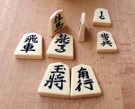 Plastiksteine (Standard)