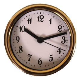 3 1/4" (83mm) Clock Fit-up  White Arabic w/Gold Rim 200264