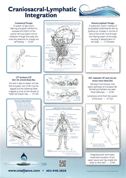 "Craniosacral-Lymphatic Integration" Poster with illustrations by Don Ash, CSTA-CP-I (Ret. PT)
