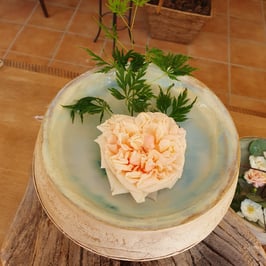 Vogeltränke Nr. 260, 23  x 14,5 cm, Wassertiefe 5,5 cm, D X H, Unikat, Handarbeit, Steinzeug- dicht gebrannt, Haus und Garten