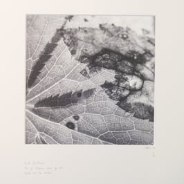 Feuille d'automne - Tableau Risoux