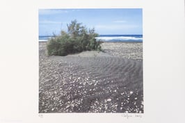 Tableau-haïku - Cherchant sur la plage