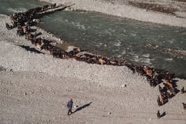 Tableau-haïku - Troupeau et torrent