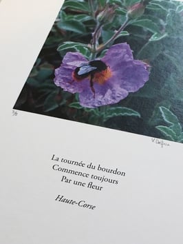 Tableau-haïku - La tournée du bourdon