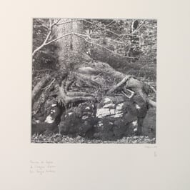 Histoire d'amour - risoux