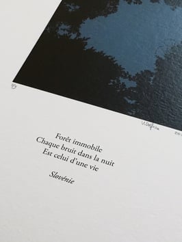 Tableau-haïku - Forêt immobile