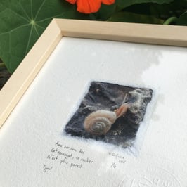 Tableau-haïku - Petit escargot