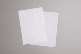 Jung Sicherheitspapier DIN A4