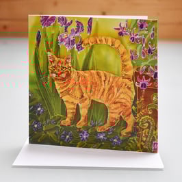'Toby' - Ginger Cat Art Card