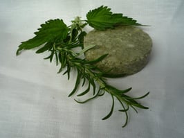 Nath' shampooing cheveux gras ou regraissant vite