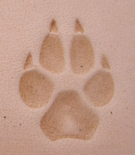 Matoir patte de loup