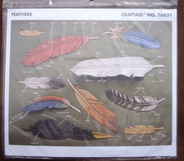 Calque pour le transfert de motifs - plumes