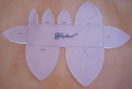 Perroquet - bout de ceintures