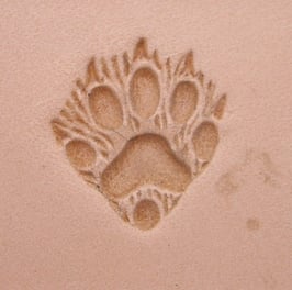 Matoir patte de furet