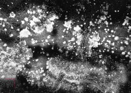 Alienum-Lùmine XII