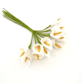 Kleine Lilie weiß, 12 Stück