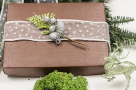 Weihnachts-Zweig mit silbernen Beeren und grünen Blättern