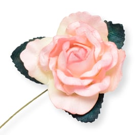 Große Papier Rose rosa, 12 Stück