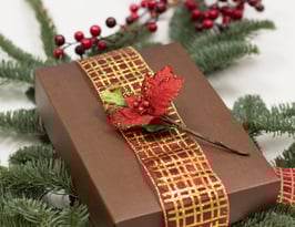 Drahtband Organza rot gold - 3 Meter