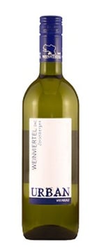 Rivaner / Müller Thurgau 2022, Andreas Urban