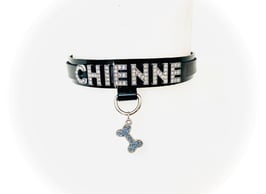 Le "CHIENNE"