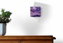 Les oiseaux de lune 23