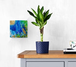 Les oiseaux de soleil 3