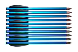 Flèches d'entraînement Stinger - Lot de 10 pièces