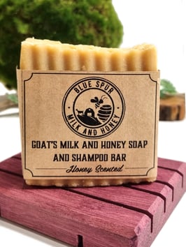 Soap and Shampoo Bar - Honey