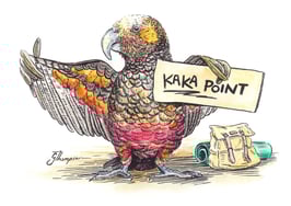 Kaka Point