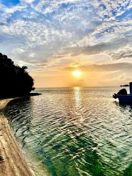 【4】熟香®マナ「アマミキヨ」