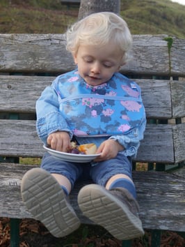 Bib - Pigs in the Mud