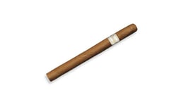 Davidoff Signature Ambassadrice