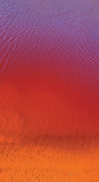 Mar Garrido. Hierro y Azufre III