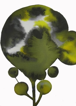 Fernando Barrionuevo. Vida III