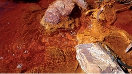 Mar Garrido. Hierro y Azufre I