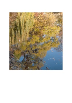 Karlos Kaplan. Otoño I