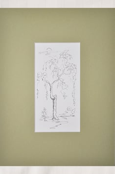 Tintenzeichnung – „Baumstudie 1“