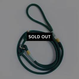 Dunkelgrüne Leine 'MERLE'