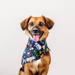 Halstuch 'G'SCHICHT'