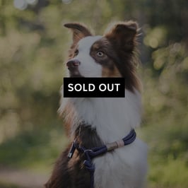 Edle Leine 'EDZERDLA'