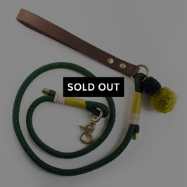 Grüne Führleine aus Tau und Leder 'STEGGERLASWALD'