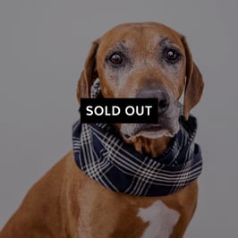 Dog Loop 'KARO KRAWATT'N'