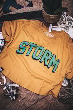 SBTC STORM CropTop
