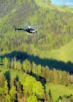 30 Min. Rundflug pro Person