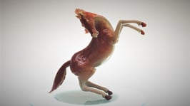 Murano Glass RAMPING HORSE