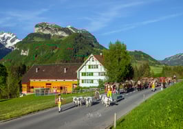 PK-Öberefahre/Alpfahrt-MS8-2244