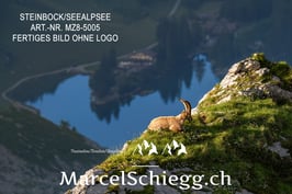 Leinwandbild-Steinbock/Seealpsee Art.-Nr. MZ8-5005